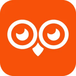 Oowlish logo