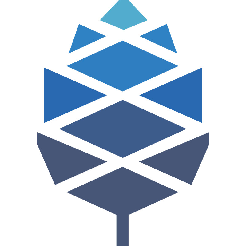 pine64.com