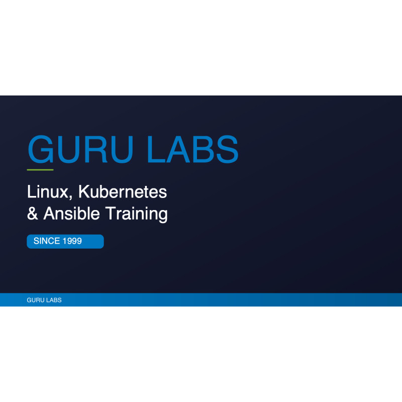 Guru Labs
