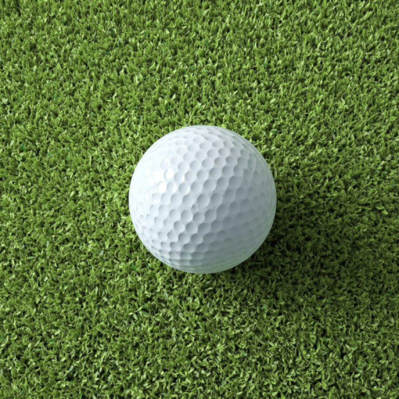 Putt Dojo logo