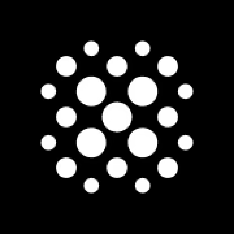 Risk Labs logo