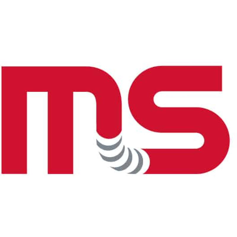 ms logo
