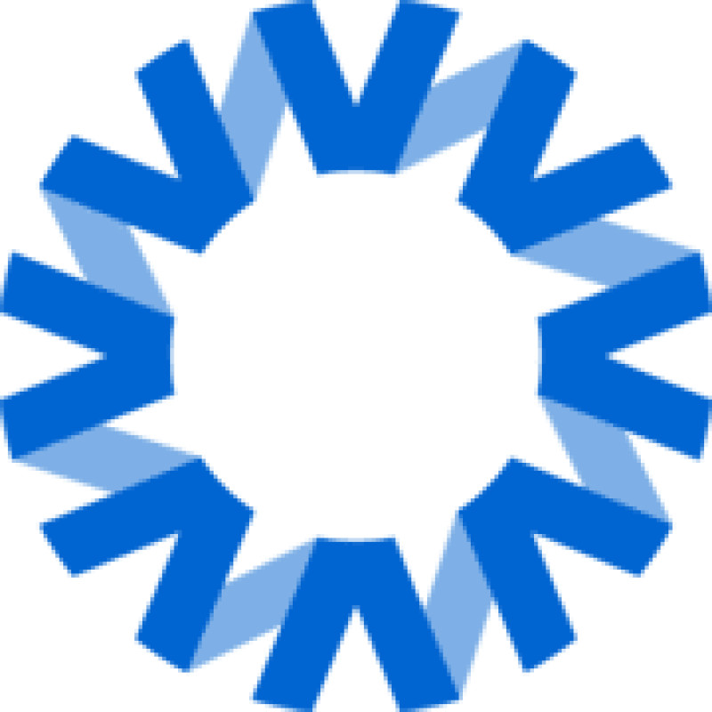 National Vision logo