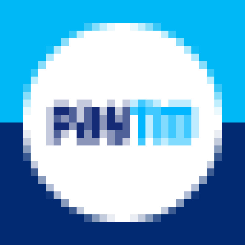 Paytm Payments Services Limited logo