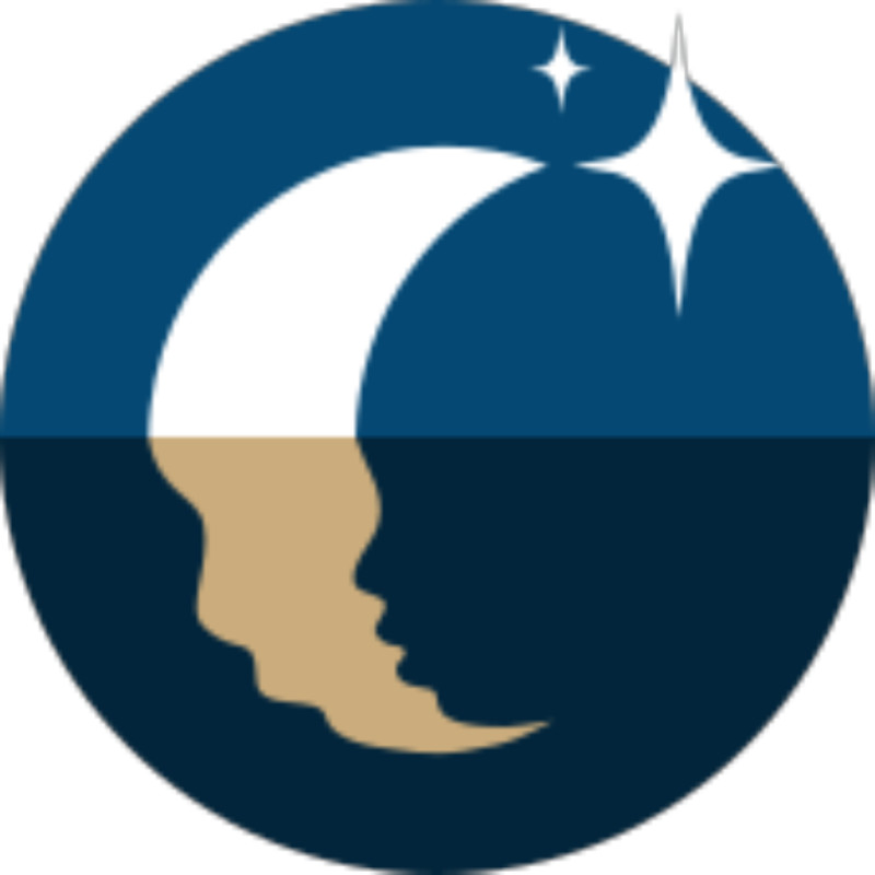 Wayofthemirror logo