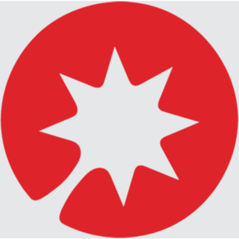 Luchik Educational Center logo
