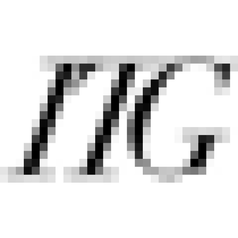 Into The Gloss logo