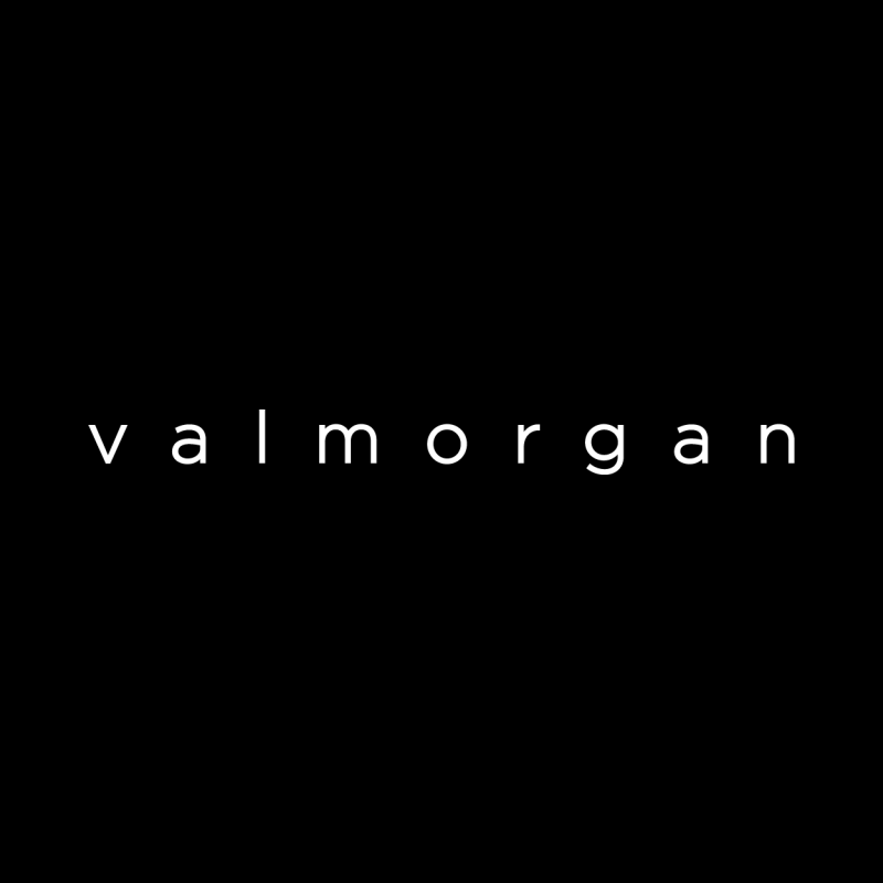Val Morgan logo