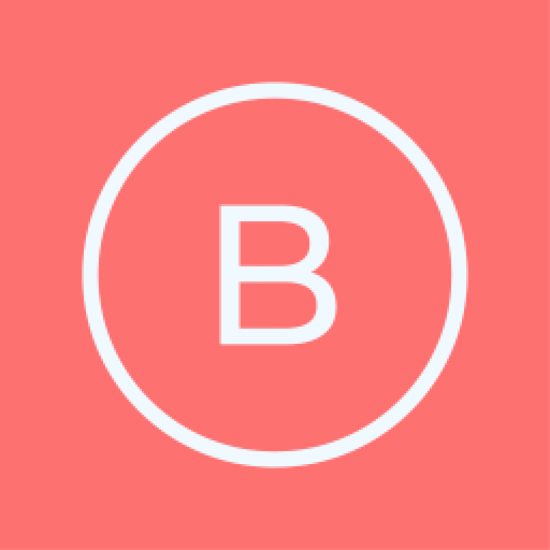 Berry Virtual logo