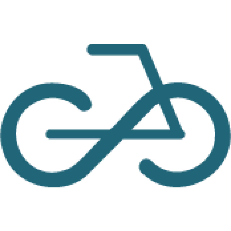 BikeX logo