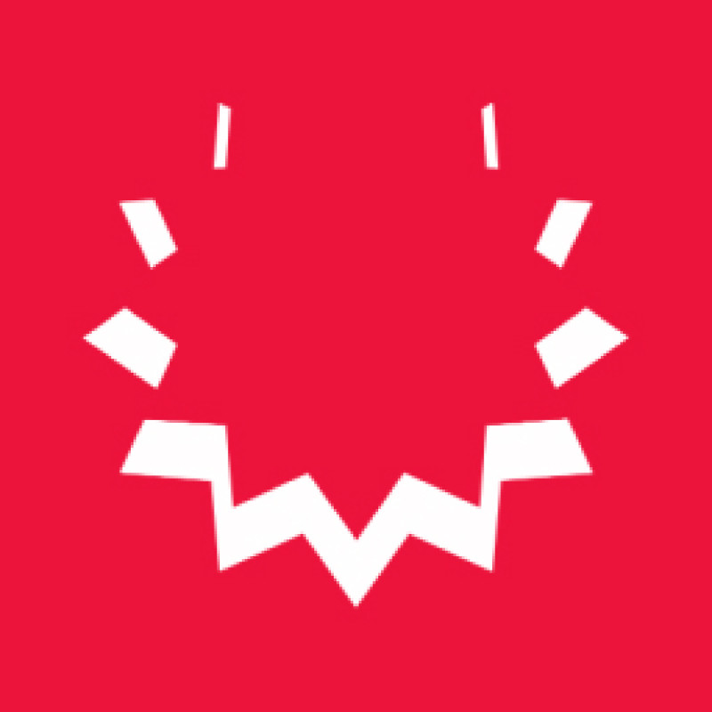 Bintelligence logo