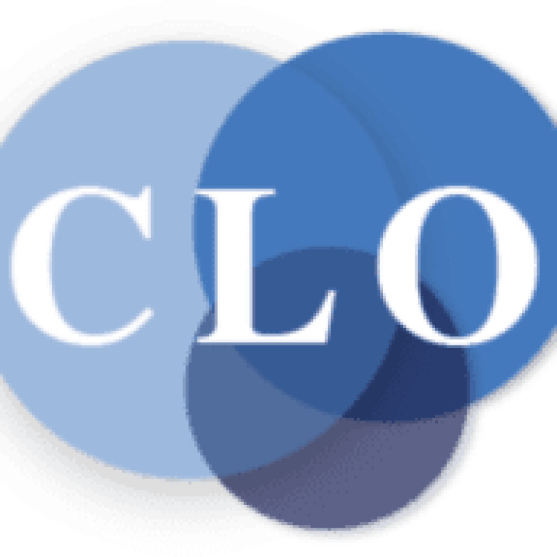 Chief Learning Officer logo