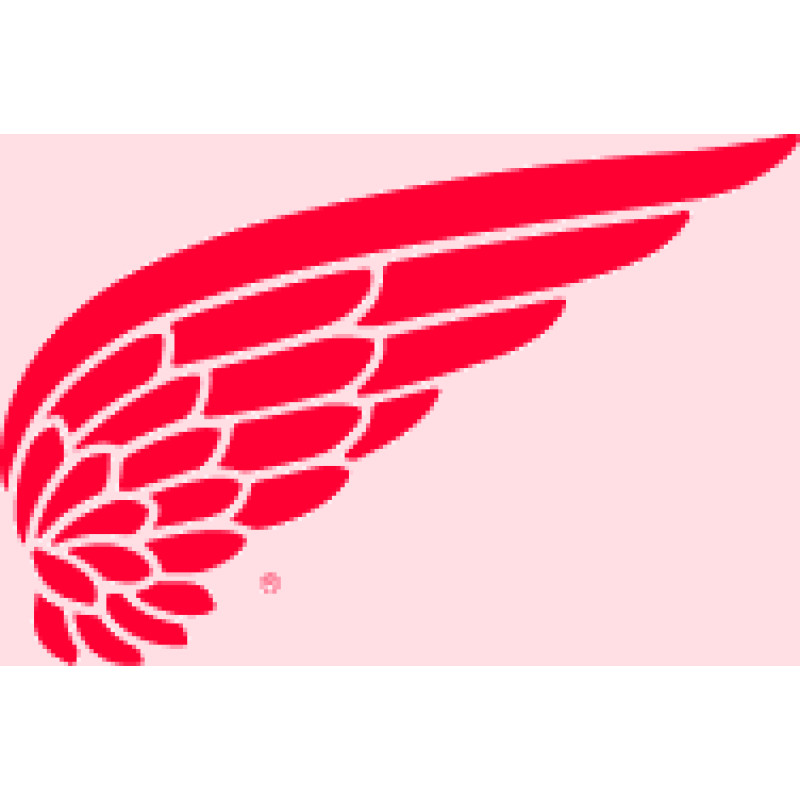 Red Wing Shoe Company logo