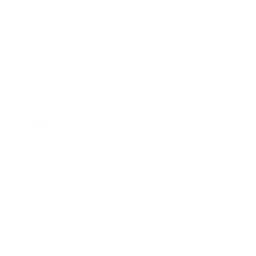Pioneer E Solutions logo