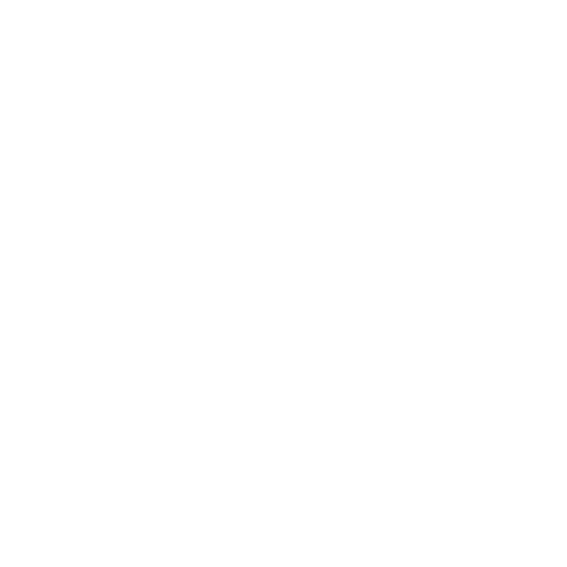 Pioneer E Solutions logo