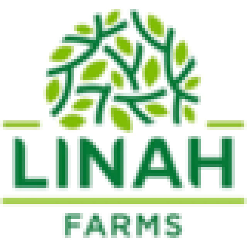 Linahgroup logo