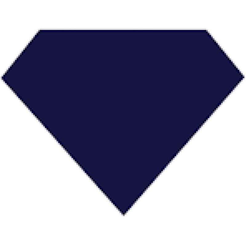 Bluenile logo