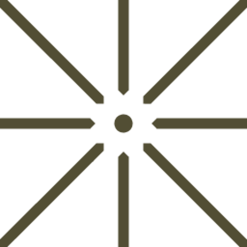Centerforcivicfutures