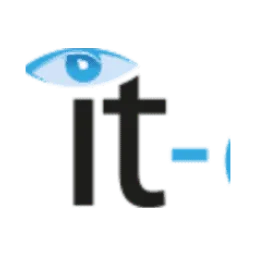 Onlineportal von IT Management logo