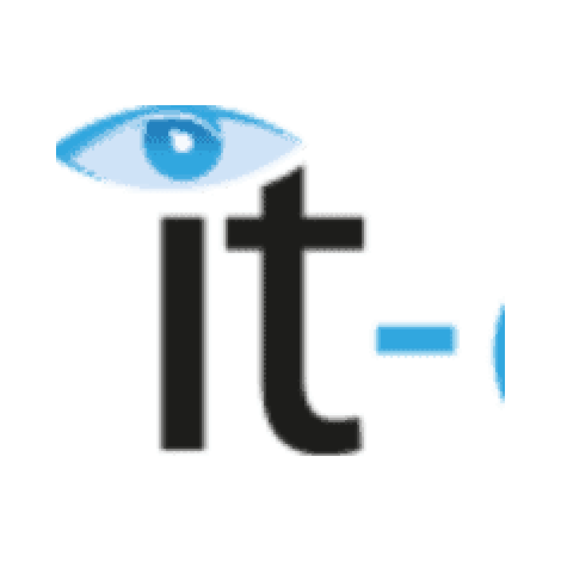 Onlineportal von IT Management