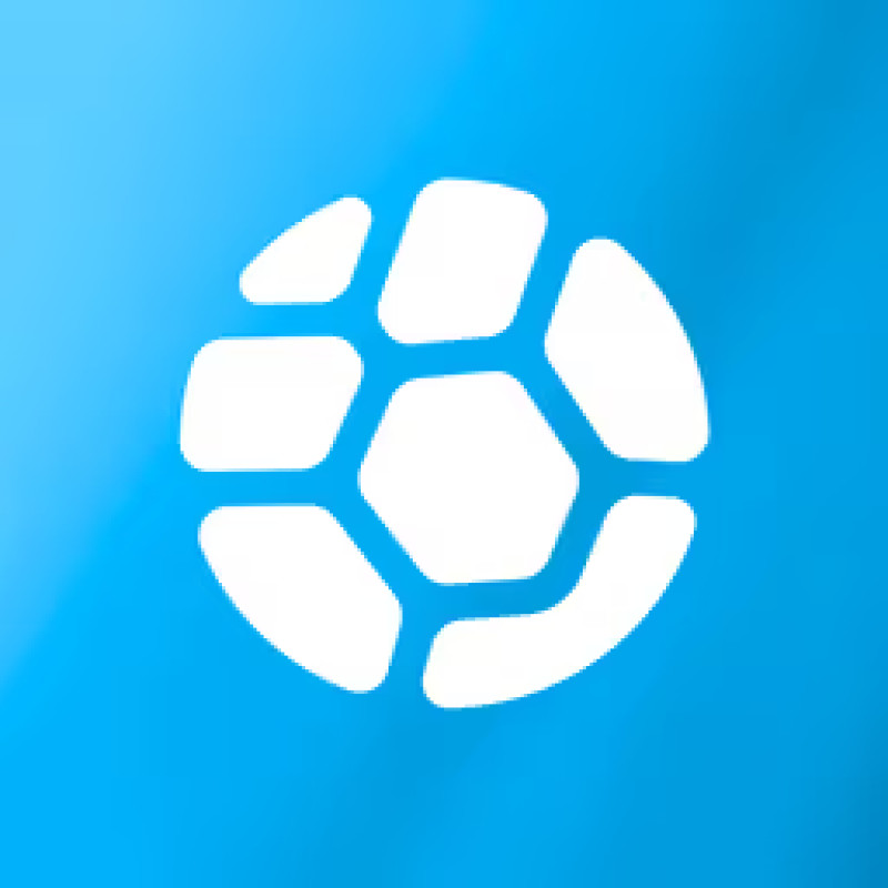 Turtles logo