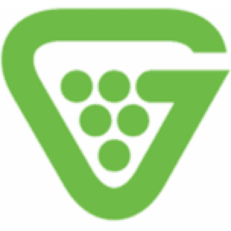 Grapevine MSP Technology Services logo