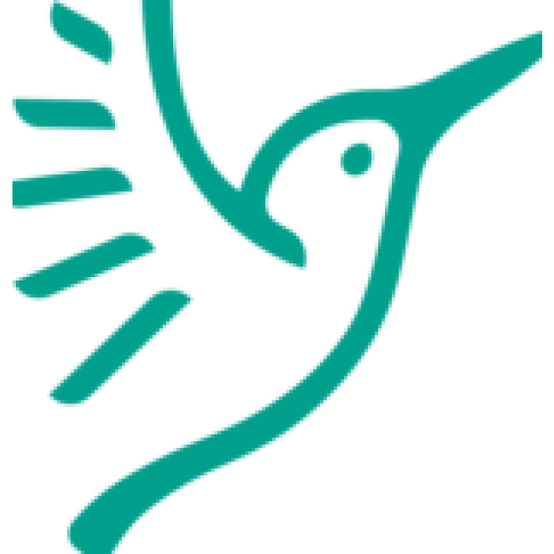Halcyonaccelerator logo