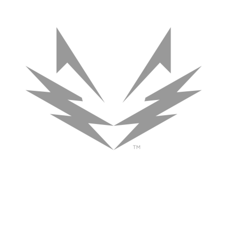 Silversky logo