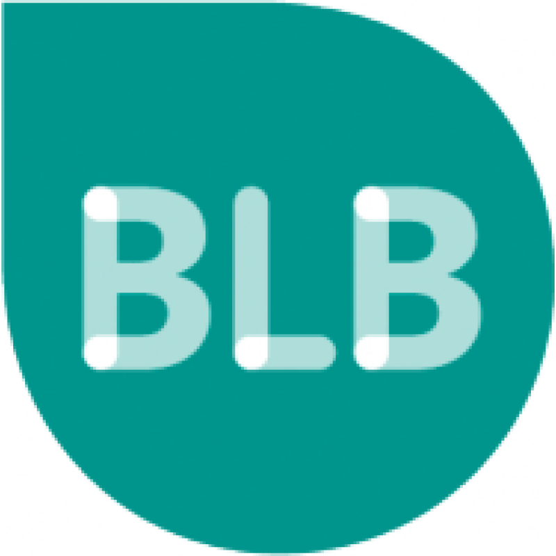 Blb Karlsruhe logo
