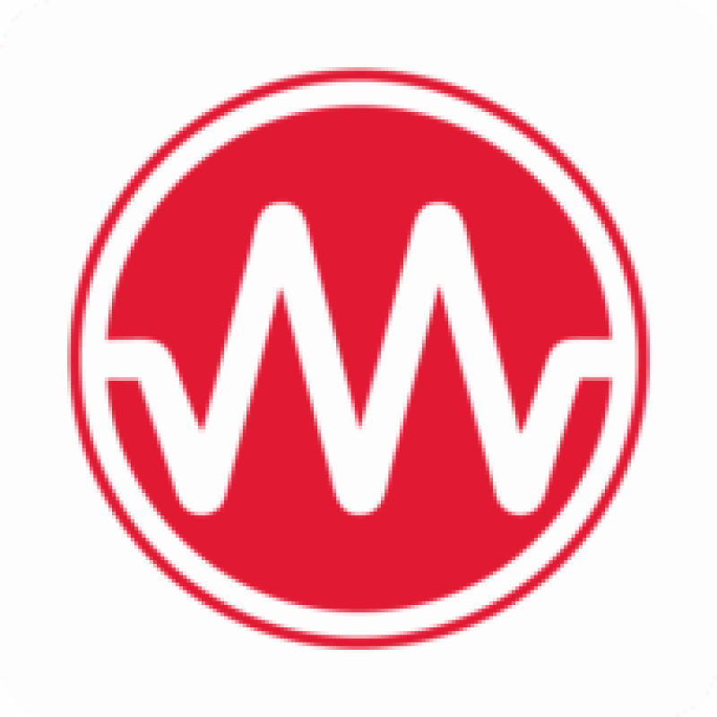 Melsis logo