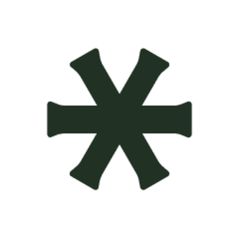 Insurely logo