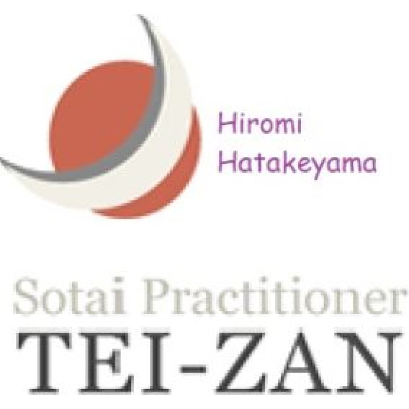 Teizan logo