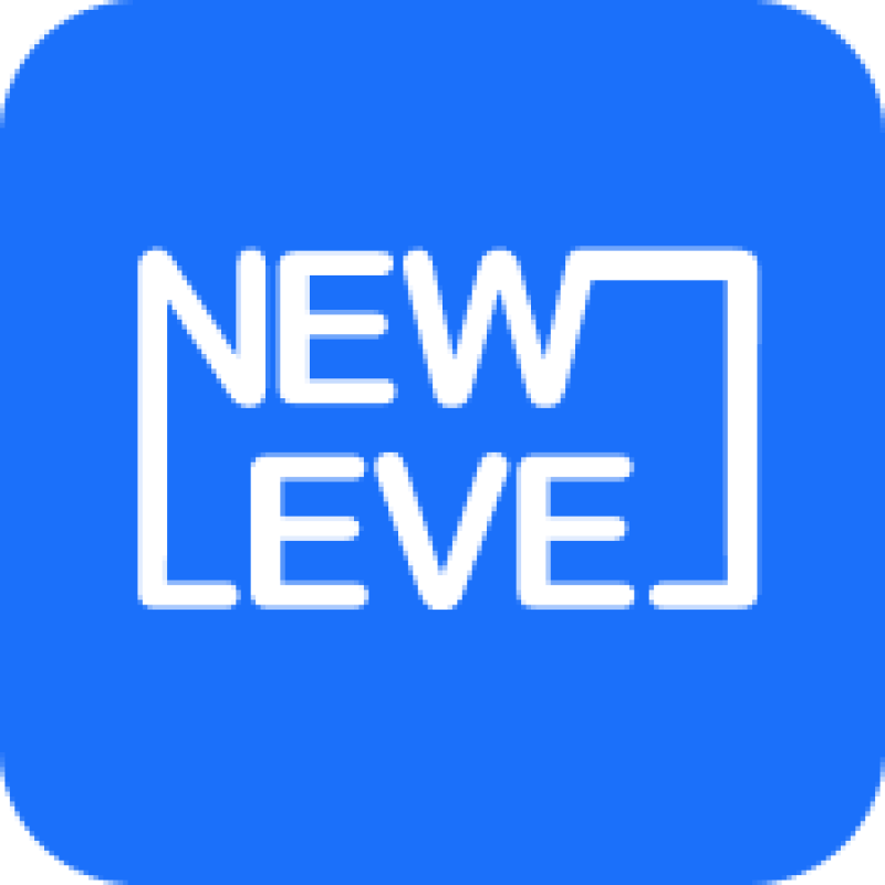 New Level Business logo
