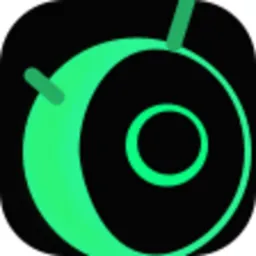 RYE logo