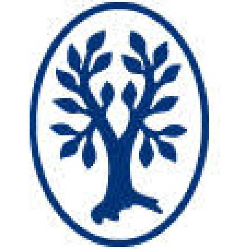 Thieme logo