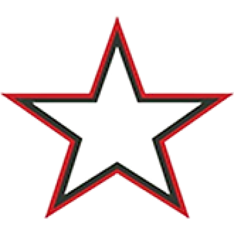 Vets Move Junk logo