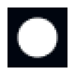 Radicle logo
