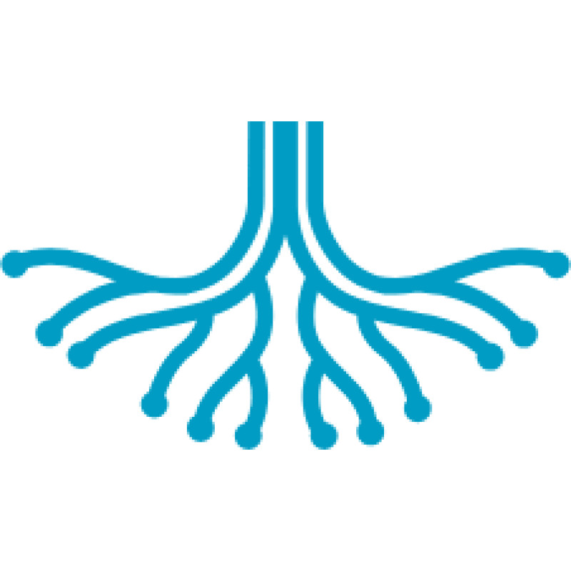 Rootsec logo