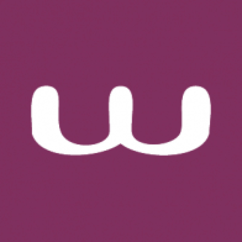 Mywiserdsp logo