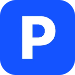 Playerok logo