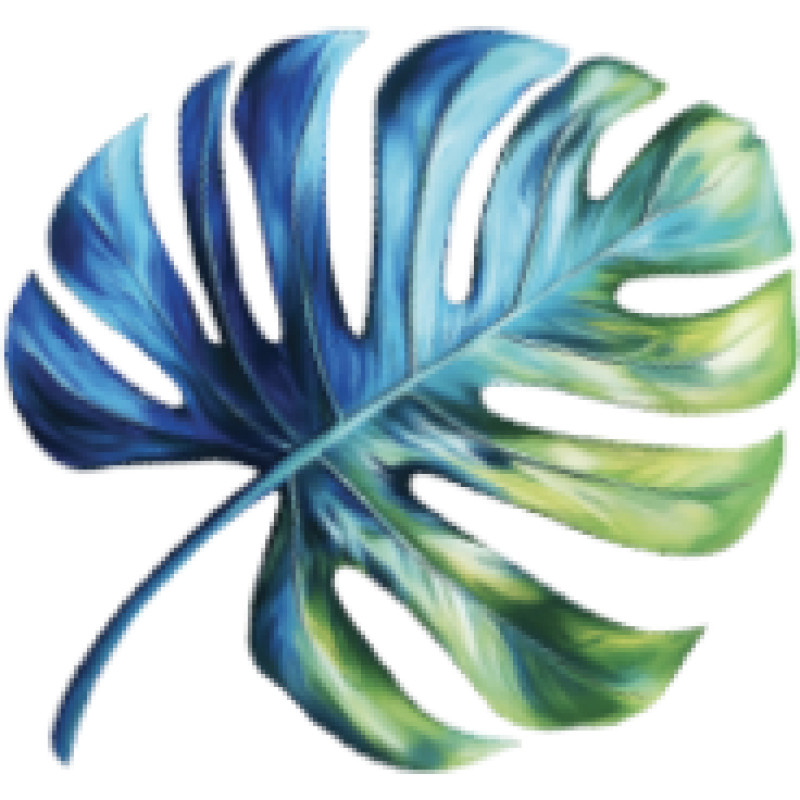 Canopy logo
