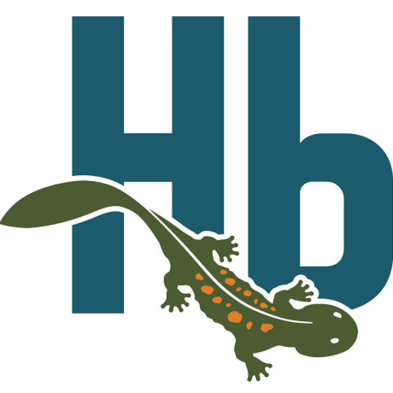 Hellbender logo