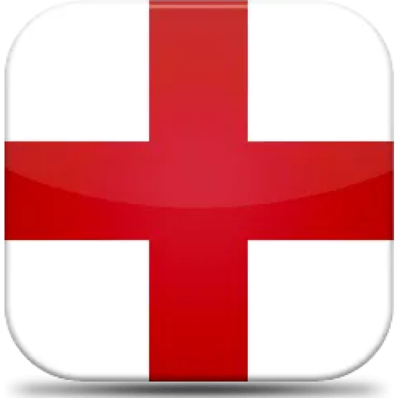 Ingage logo