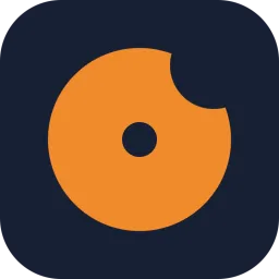 Precise logo