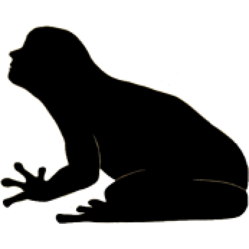 Seaman logo