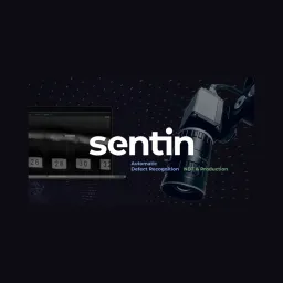 Sentin logo