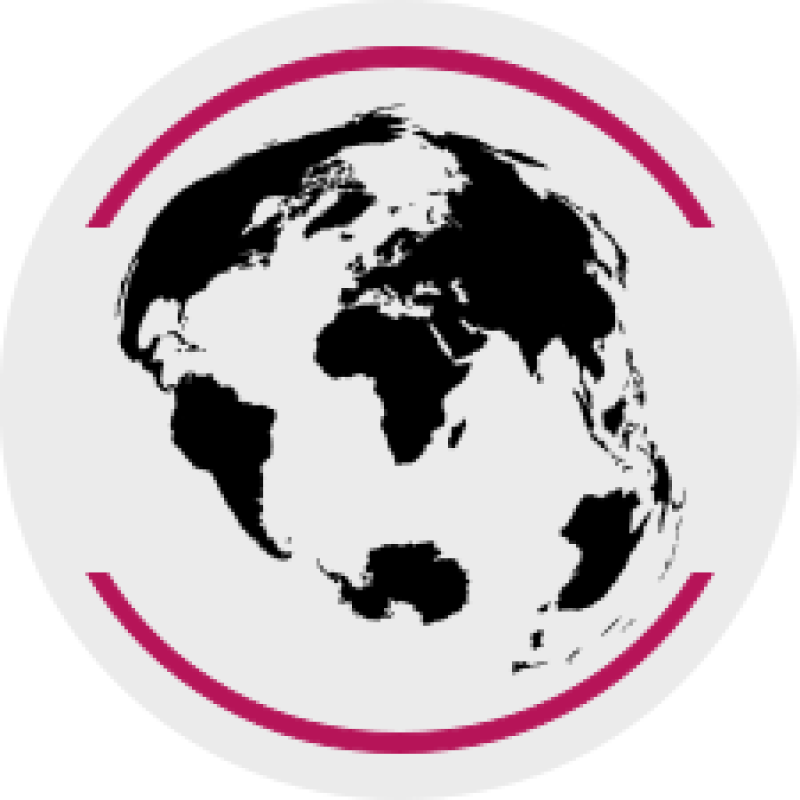 Salo logo