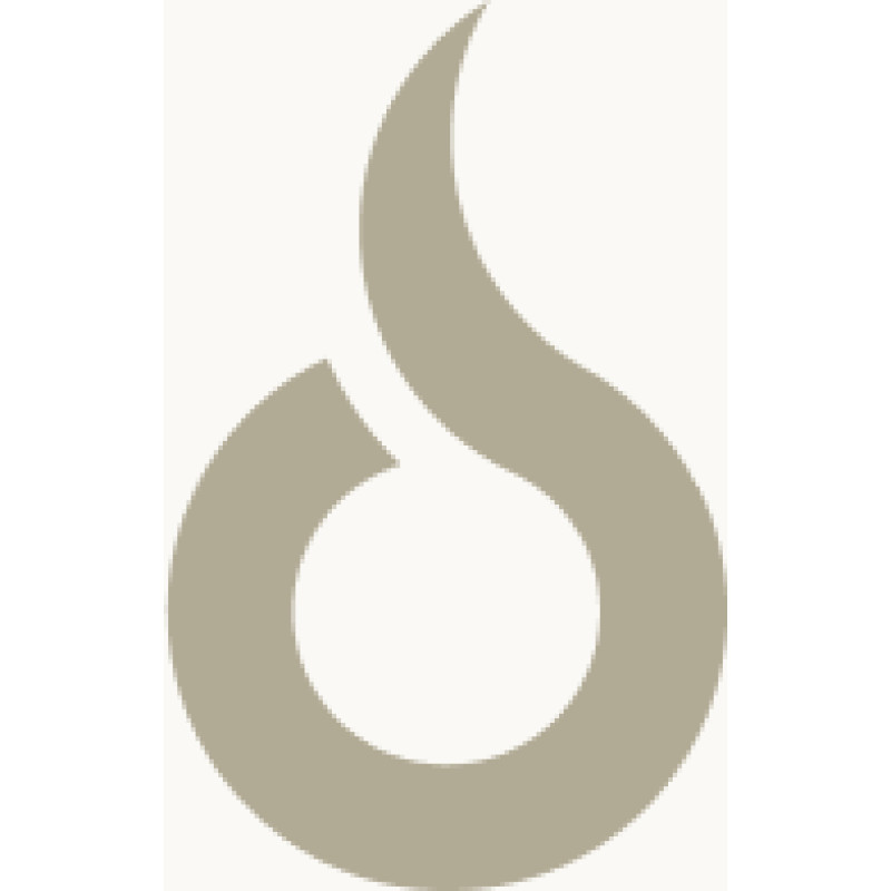 Torch logo