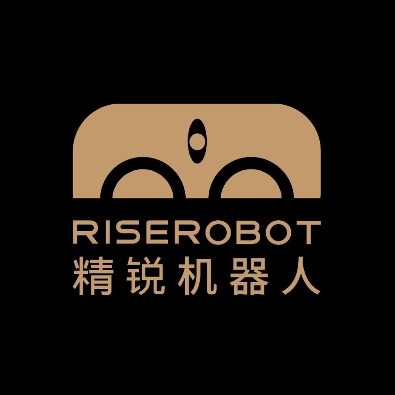Riseye logo
