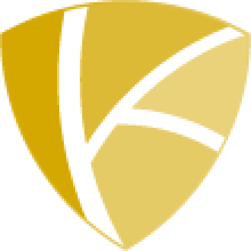 Icekredit logo